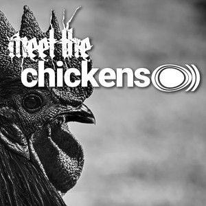 🤘🐓meet the chickens cover art