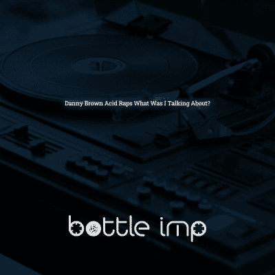 Danny Brown Acid Raps What Was I Talking About?