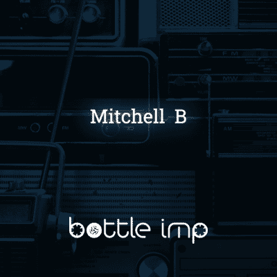 Mitchell  B cover art